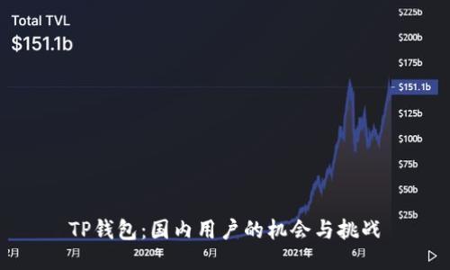 TP钱包：国内用户的机会与挑战
