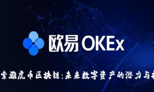  探索雅虎币区块链：未来数字资产的潜力与挑战