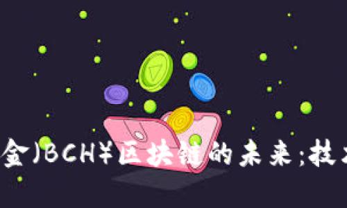 探索比特币现金（BCH）区块链的未来：技术、应用与挑战