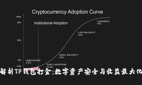 全面解析TP钱包打金：数字资产安全与收益最大化策略