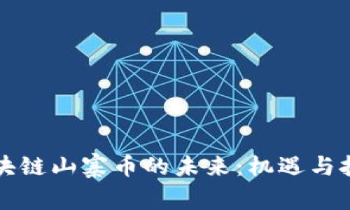 区块链山寨币的未来：机遇与挑战