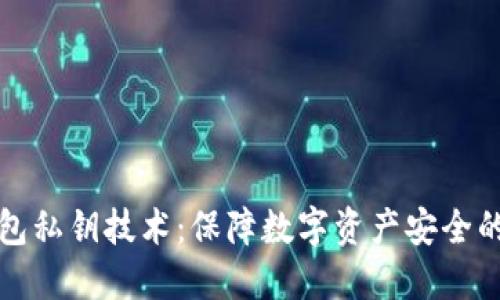 TP钱包私钥技术：保障数字资产安全的核心