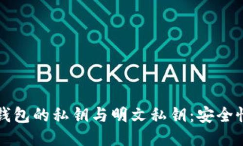 深入探索TP钱包的私钥与明文私钥：安全性与使用技巧