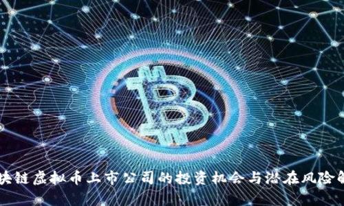 区块链虚拟币上市公司的投资机会与潜在风险解析