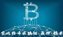   深入探索比特币区块链：原理、技术与应用
