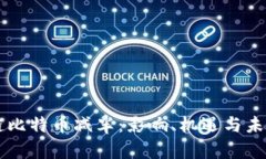 区块链比特币减半：影响、机遇与未来展望