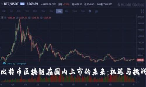 比特币区块链在国内上市的未来：机遇与挑战